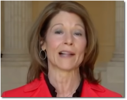 Smug DCCC chair Cheri Bustos trusting in the money to work for her and the Old Guard by starving representatives of the Next Generation (9 April 2019)